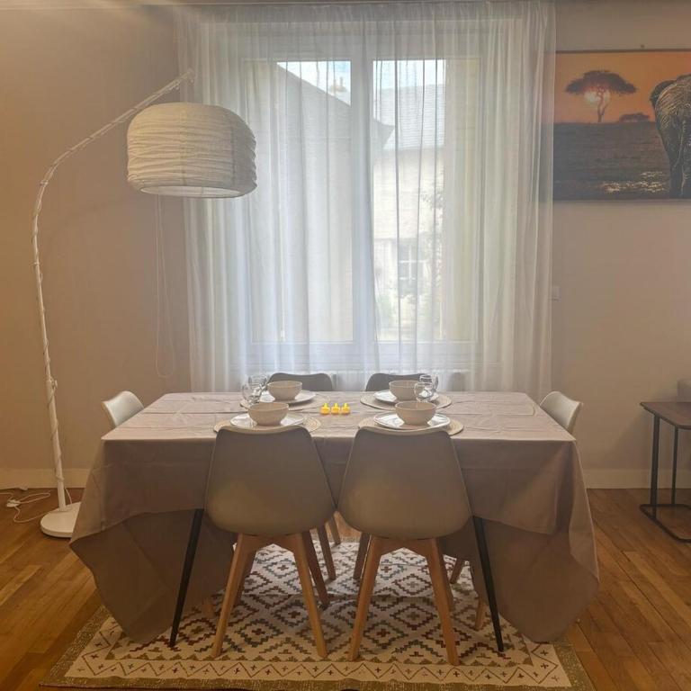 Grand T3 90m2 Haussmanien avec suite en centre ville et parking TOUT inclus - Apartamento de 2 dormitorios con vistas al jardín - 6