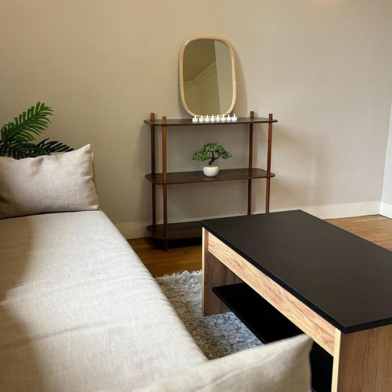 Grand T3 90m2 Haussmanien avec suite en centre ville et parking TOUT inclus - Apartamento de 2 dormitorios con vistas al jardín - 21