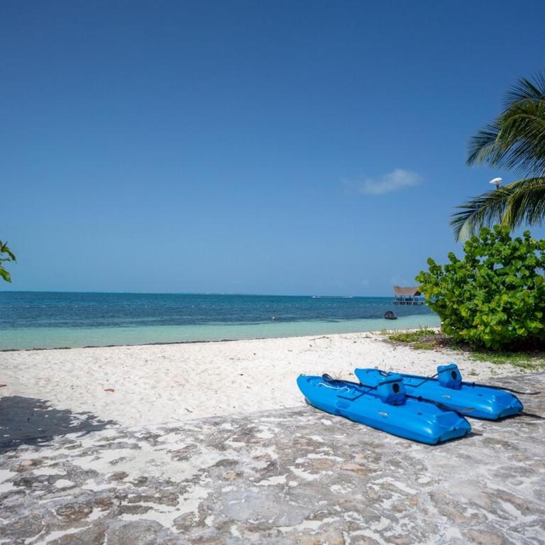 Luxury Beachfront Villa with Infinity Pool - Villa - 7