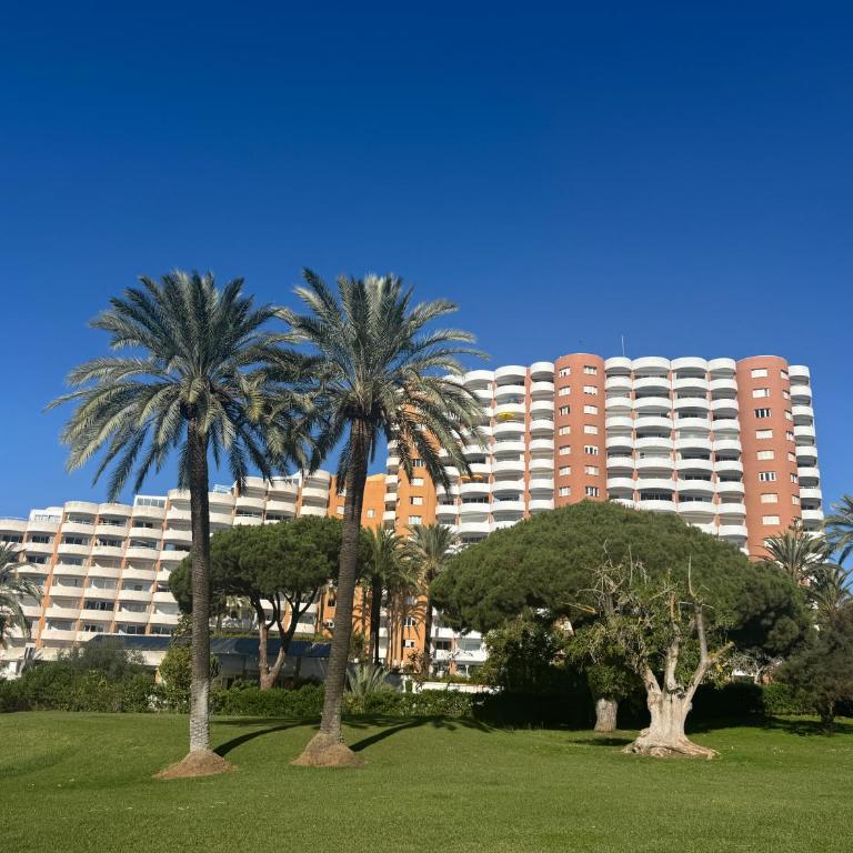 Casa Palmeras de Marbella - Apartamento de 1 dormitorio - 28