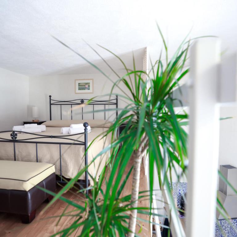 Casa Tomasuzzo - Scicli - Appartamento con 1 Camera da Letto - 31
