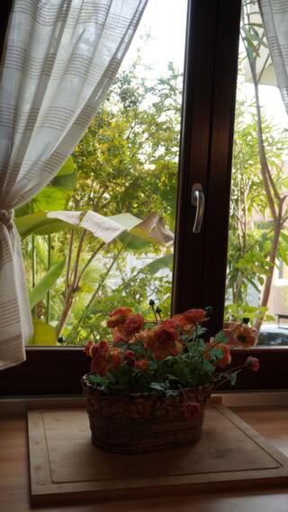 House of poppies - Villa con 3 Camere da Letto - 30