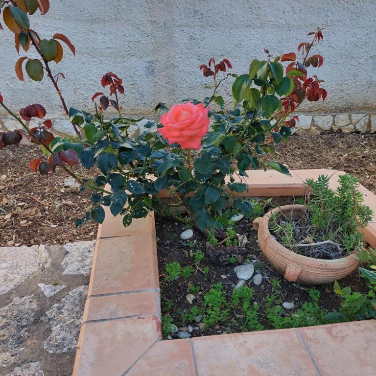 Villa Maricetta - Casa con 3 Camere da Letto - 44