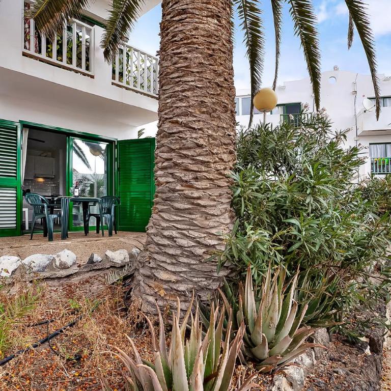 Casa Paraíso Fuerte - Apartamento de 1 dormitorio - 20