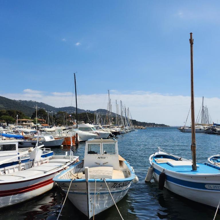 Charmant duplex vue mer panoramique sur le Golfe de Giens avec piscine - Appartement 2 Chambres avec Terrasse et Vue sur la Mer - 14