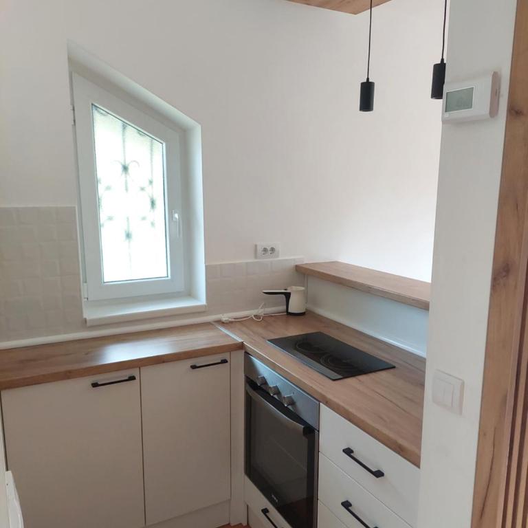 Apartman Šapat bora - Apartman na Više Nivoa - 16