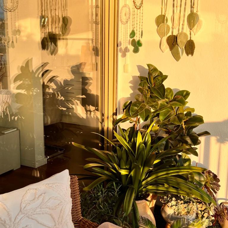 Luxury Penthouse near the Beach - Appartement 1 Chambre - 4