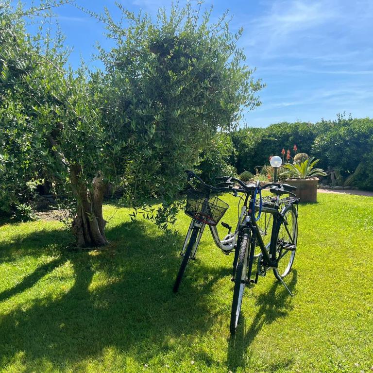 Il Giardino Sul Mare - Villa - Beach Front - 7