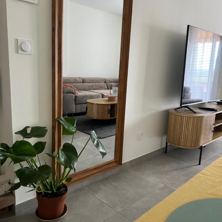 Annecy Naila's apartement - Appartement 2 Chambres - 10