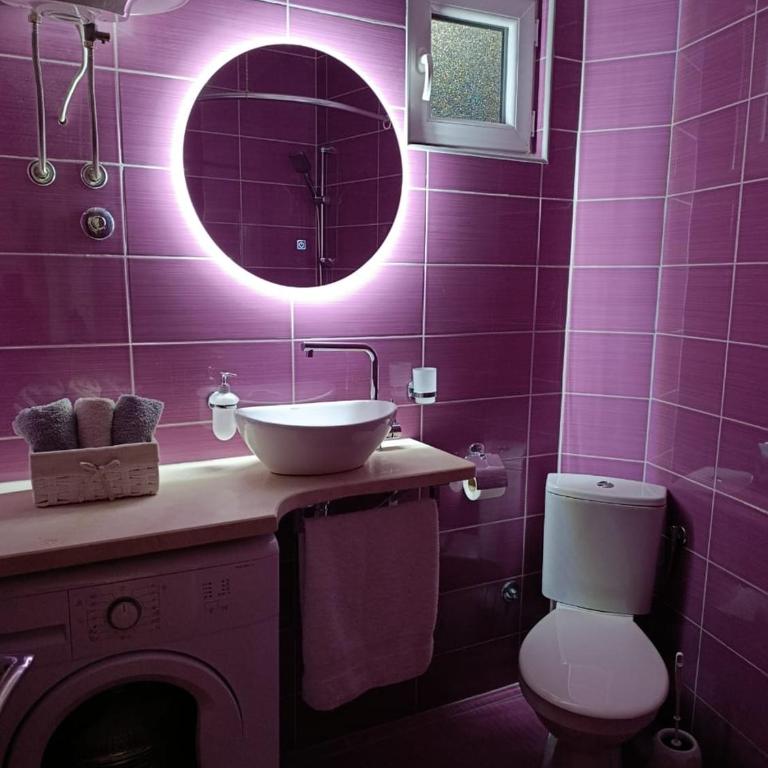 apartmani Milicevic - Apartman sa 1 Spavaćom Sobom - 4