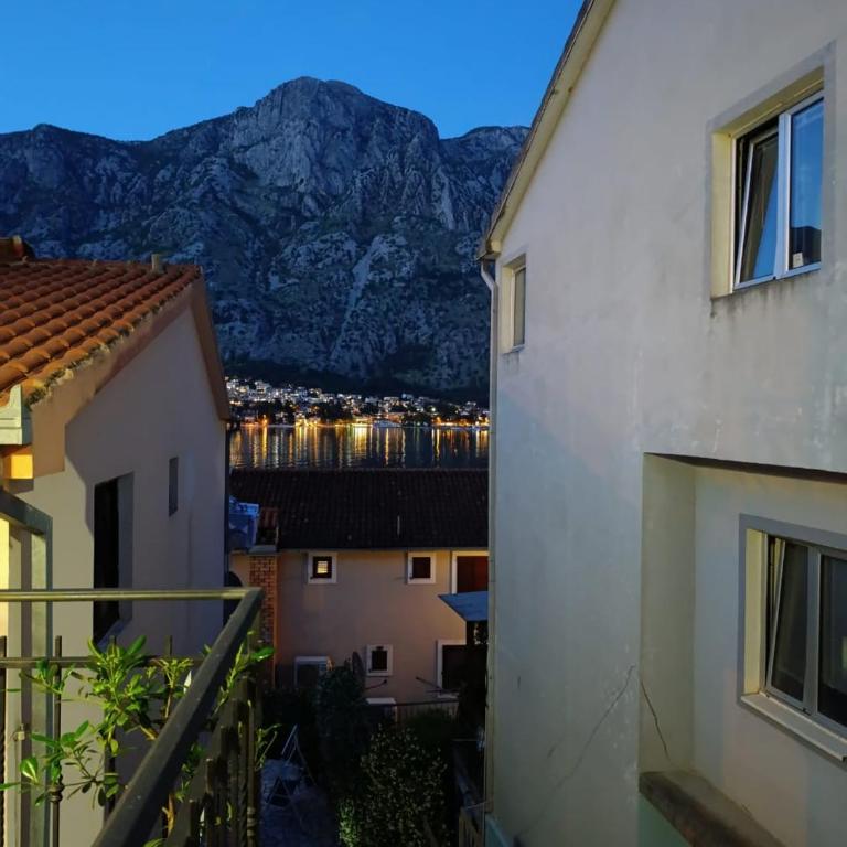 apartmani Milicevic - Apartman sa 1 Spavaćom Sobom - 10