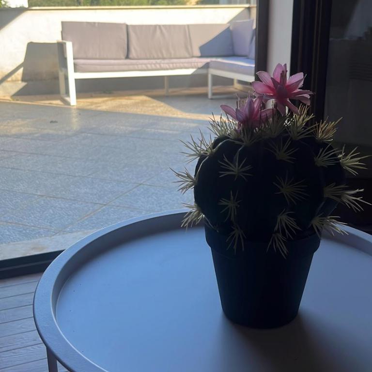 Proserpina House - Appartamento con 1 Camera da Letto - 14