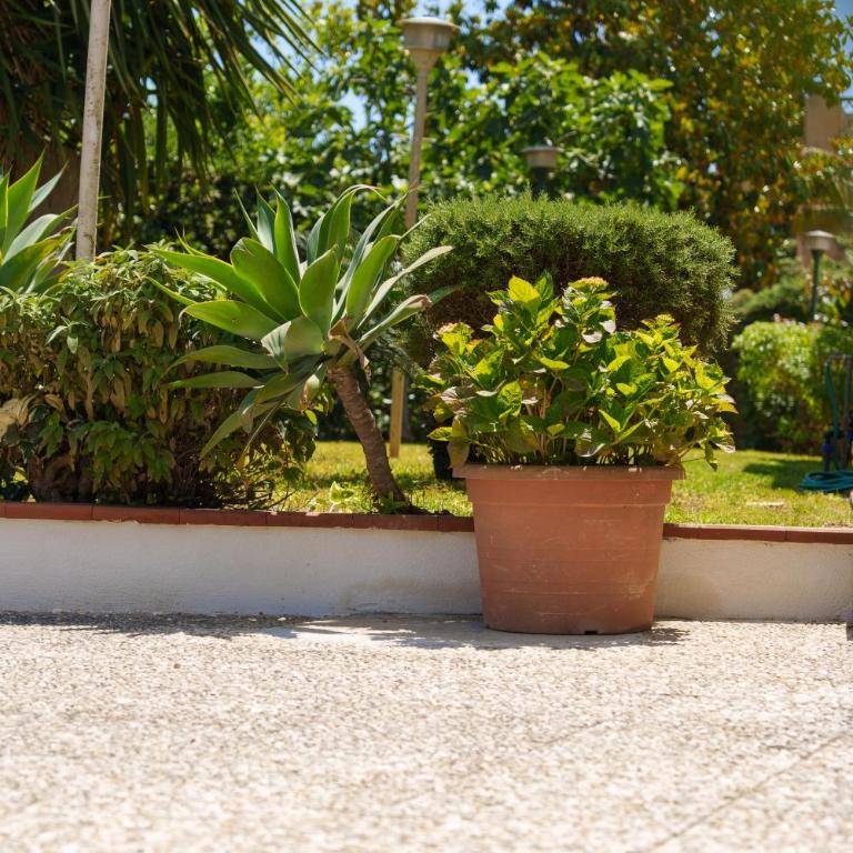 Casa Vacanze Villa Rosa Mondello - One-Bedroom House - 18