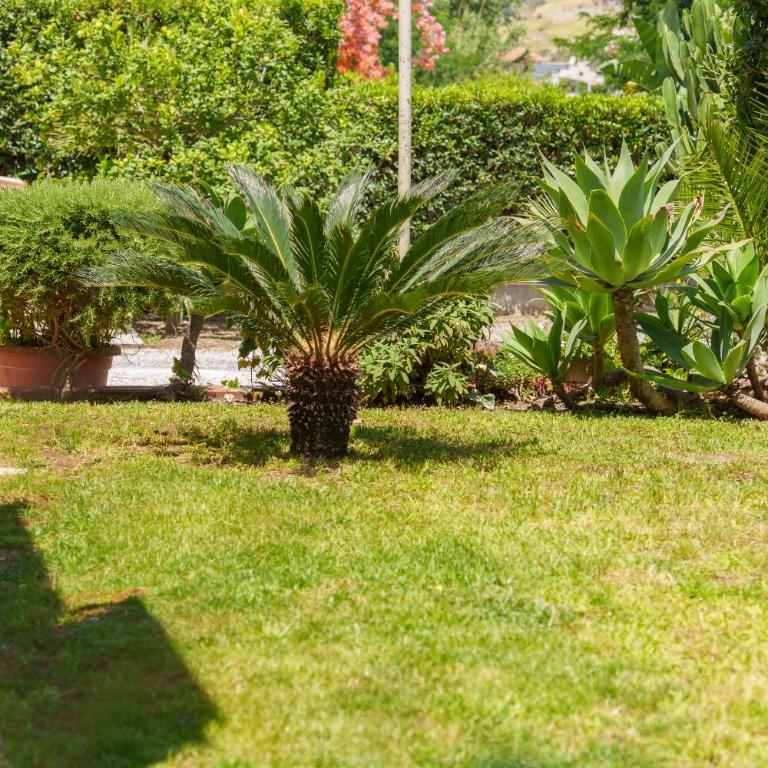 Casa Vacanze Villa Rosa Mondello - One-Bedroom House - 24