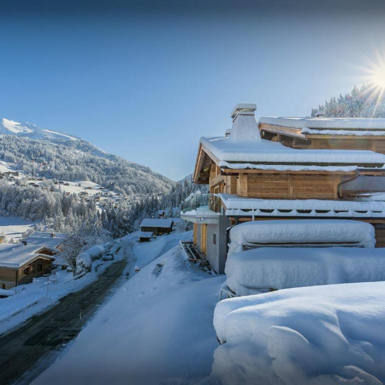 Chalet Fernand - OVO Network - Chalet - 24