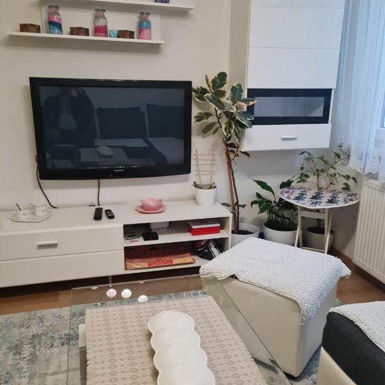 Fly home - One-Bedroom Apartment - 11