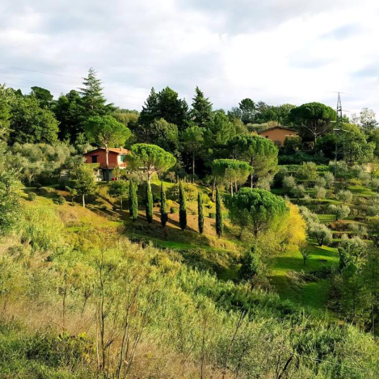 Typical Tuscan Villa with Exclusive Pool & Private Parking - Casa Paola - Villa - 29