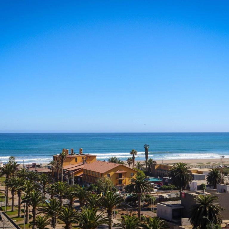 HOM I Amplio Studio a Estrenar en el centro de La Serena 330 - Apartamento - 70
