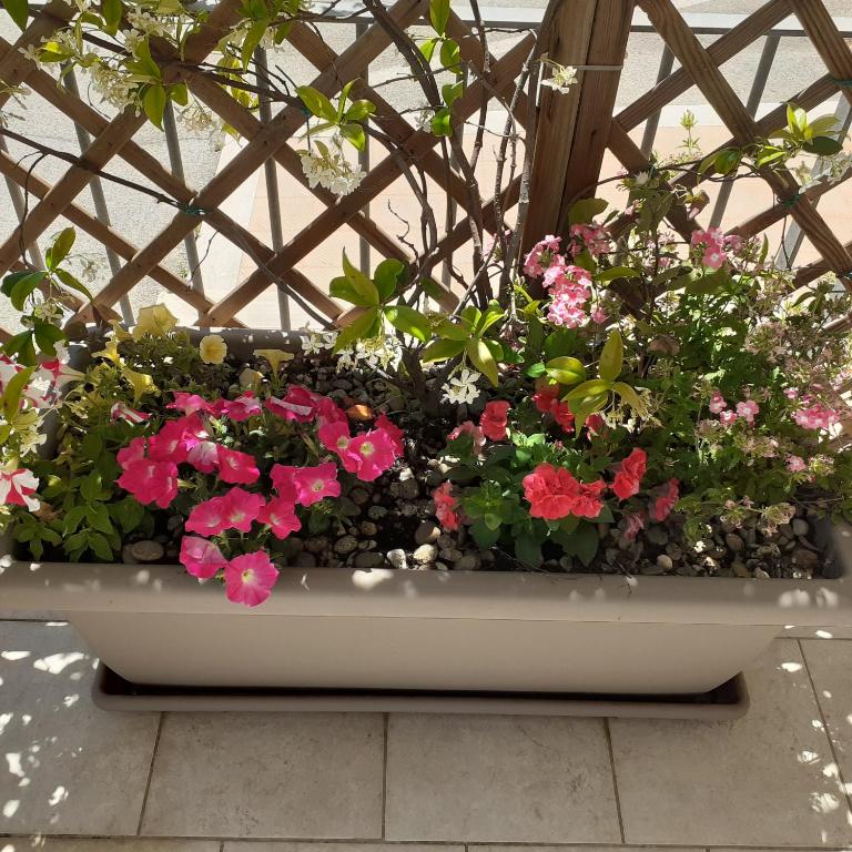 CUORE DEL SUD - Two-Bedroom Apartment - 5