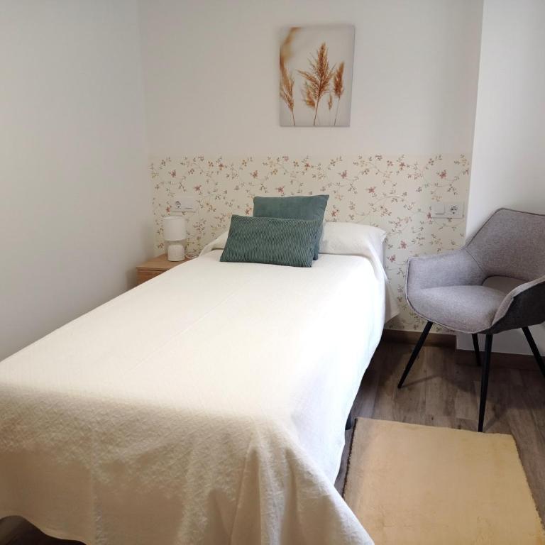 LAR SANTIAGO Apartamentos - dúplex - Apartamento Estándar de 2 dormitorios - 7