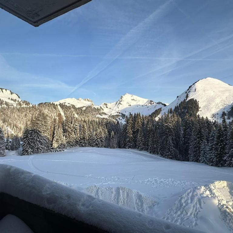 Studio au cœur du Praz-de-Lys - Les Pralyssimes - Appartement avec Vue sur la Montagne - 9