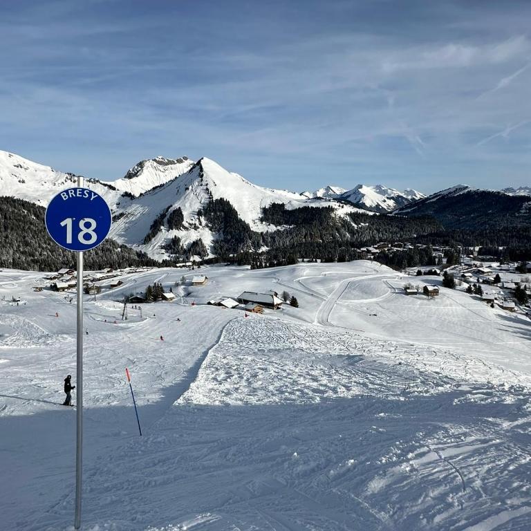 Studio au cœur du Praz-de-Lys - Les Pralyssimes - Appartement avec Vue sur la Montagne - 21