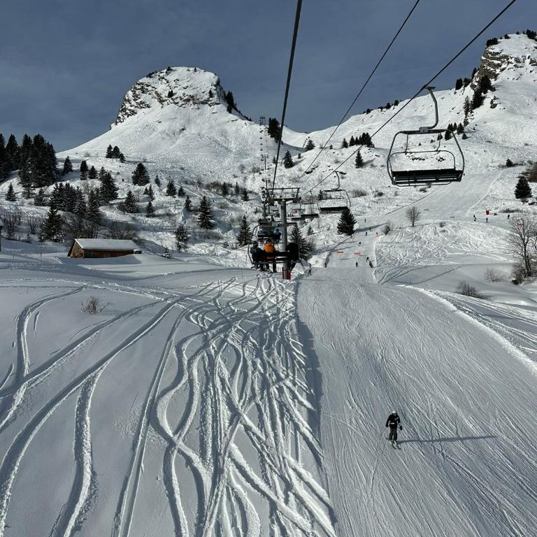 Studio au cœur du Praz-de-Lys - Les Pralyssimes - Appartement avec Vue sur la Montagne - 22