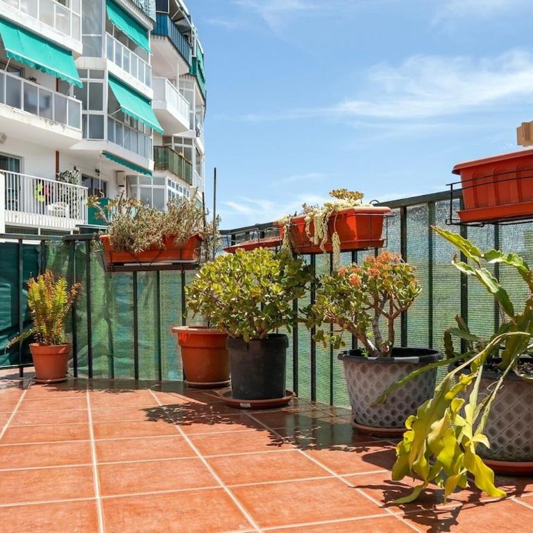 Las Terrezas 208 - Apartamento de 1 dormitorio - 8