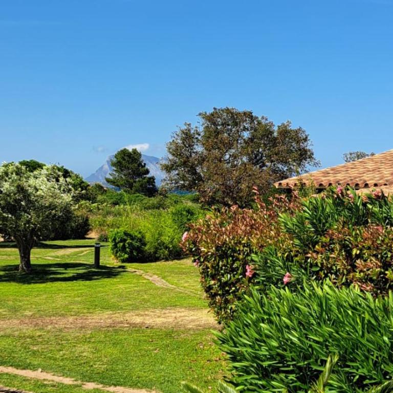 San Teodoro Beach Villa 86b - Villa con 2 Camere da Letto - 6