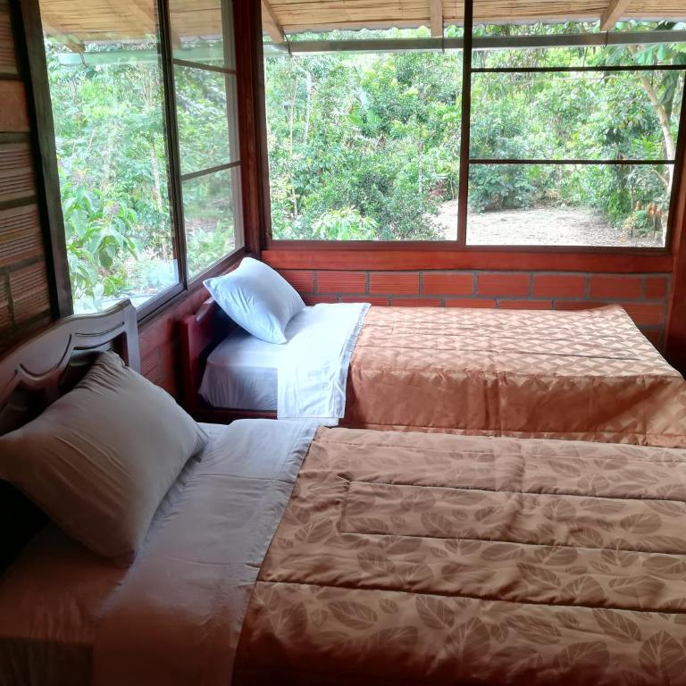 Pungara Eco-Lodge - Quadruple Room with Shared Bathroom - 1