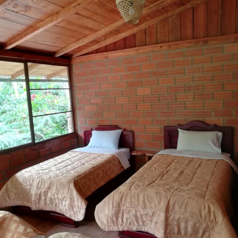 Pungara Eco-Lodge - Quadruple Room with Shared Bathroom - 4