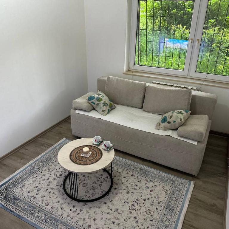 Apartment Alibeg - Apartman - 3