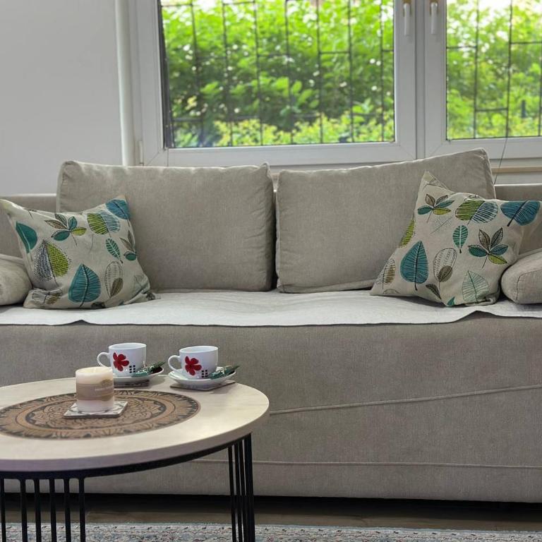 Apartment Alibeg - Apartman - 1
