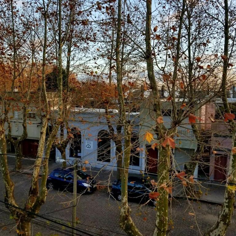 Rincón 201 - Studio with Balcony - 5