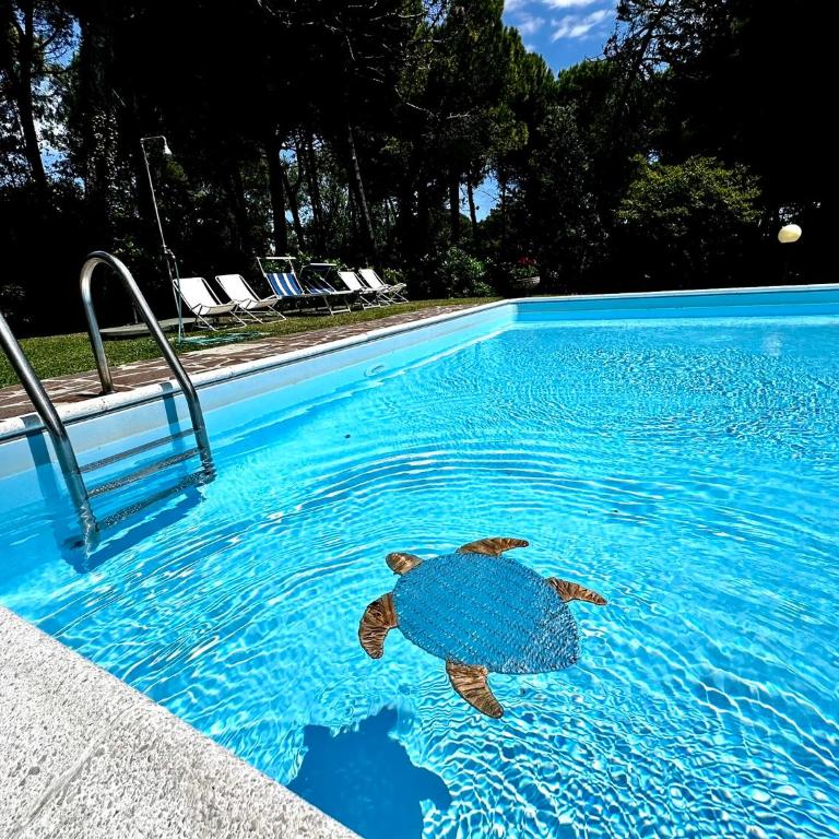 Villa by the Sea and Pool - Villa - 10