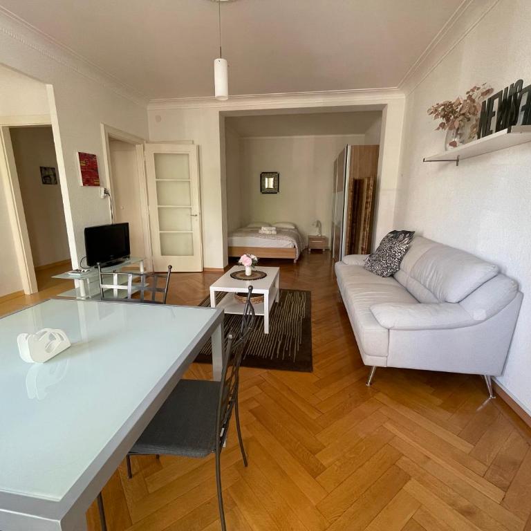 Apartment 9 minutes from Lausanne Train statio - Apartment mit 1 Schlafzimmer - 4
