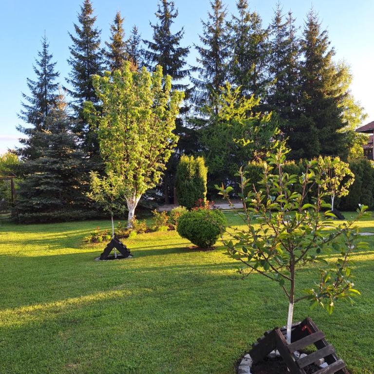 Apartmani Nika Zlatibor - Apartman sa 1 Spavaćom Sobom - 3