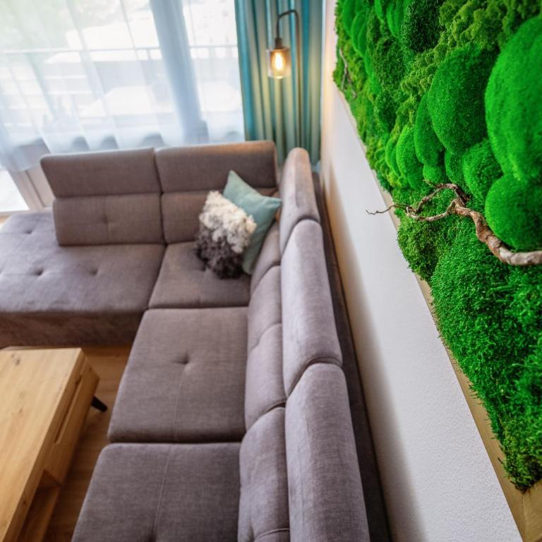 Englmar Apartments with free WELLNESS and FITNESS - Appartamento con 1 Camera da Letto - 6