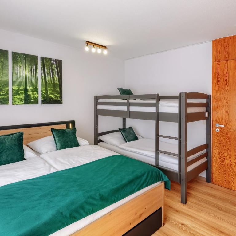 Englmar Apartments with free WELLNESS and FITNESS - Appartamento con 1 Camera da Letto - 2