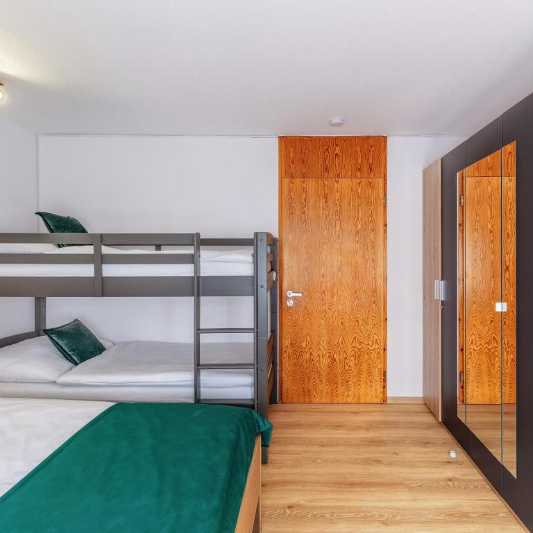 Englmar Apartments with free WELLNESS and FITNESS - Appartamento con 1 Camera da Letto - 16
