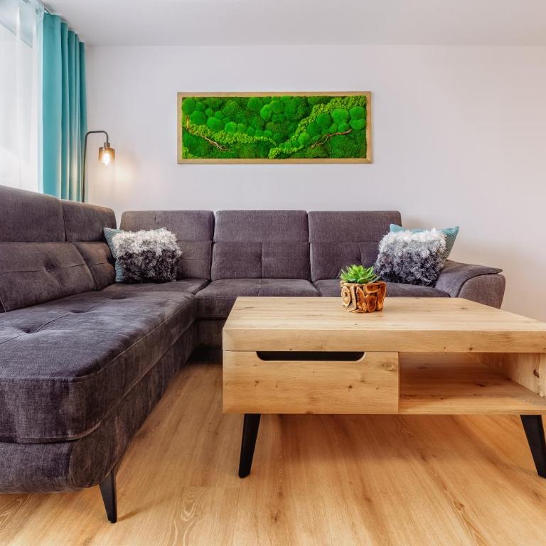 Englmar Apartments with free WELLNESS and FITNESS - Appartamento con 1 Camera da Letto - 5