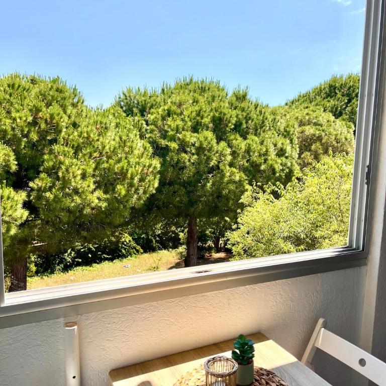 Appartement cosy à Balaruc - Apartment mit 1 Schlafzimmer - 11