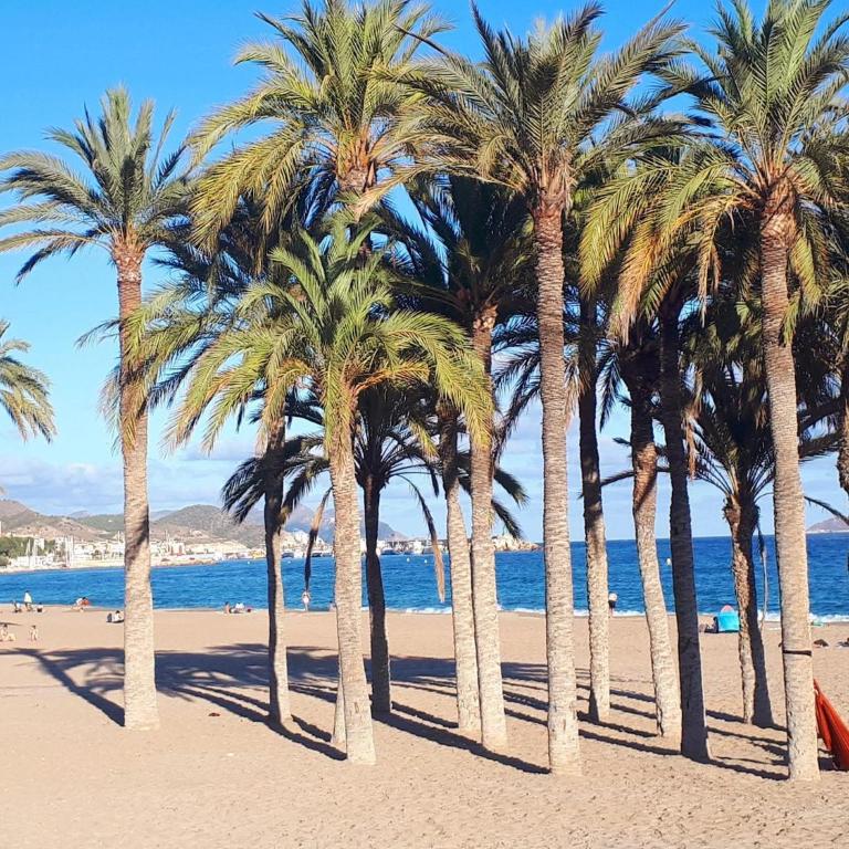 Flat in Villajoyosa with Sea Views & Pool - Apartamento de 2 dormitorios - 28