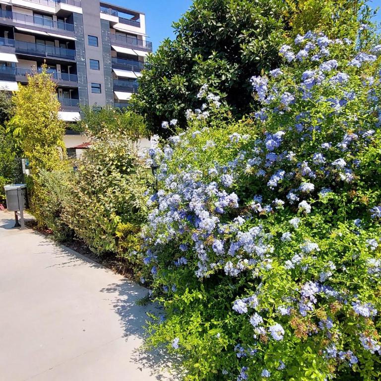 Flat in Villajoyosa with Sea Views & Pool - Apartamento de 2 dormitorios - 32