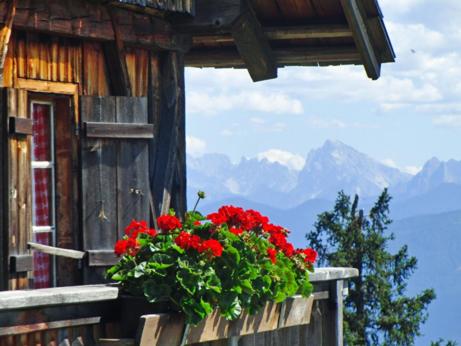 Pitterlehof - Appartamento - 28