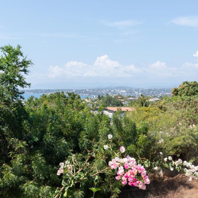 Casa Vilú - Bungalow Deluxe con vistas al jardín - 14