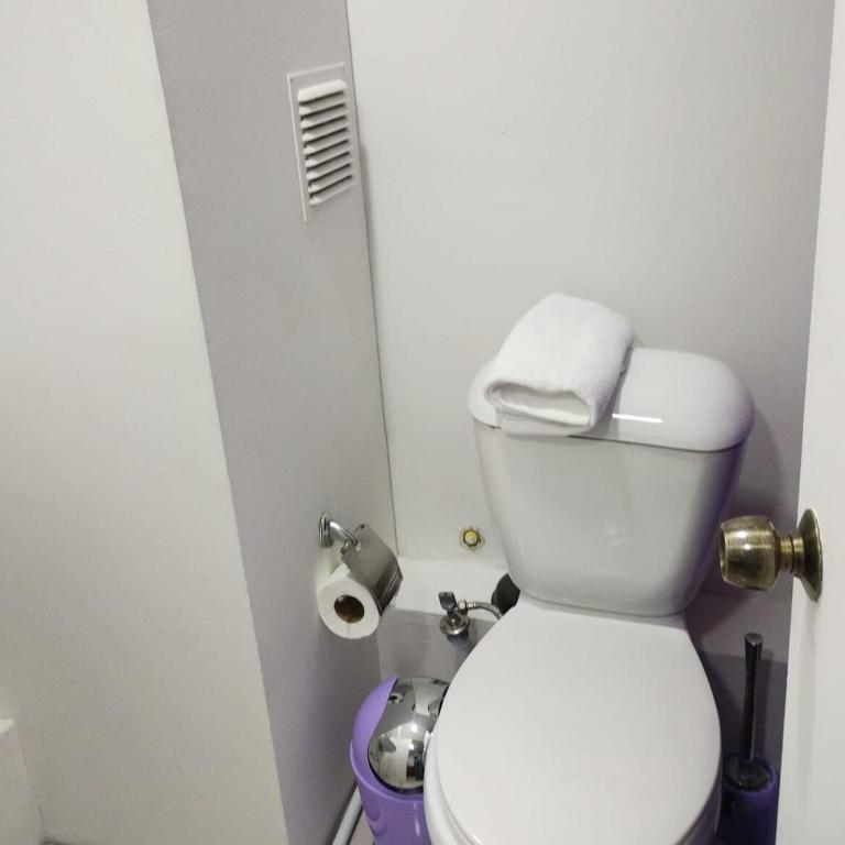 Departamento tipo estudio, cercano al Movistar Arenas y Teatro Caupolican - Apartamento de 1 dormitorio - 6