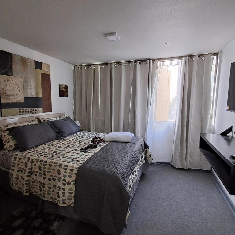 Departamento tipo estudio, cercano al Movistar Arenas y Teatro Caupolican - Apartamento de 1 dormitorio - 20