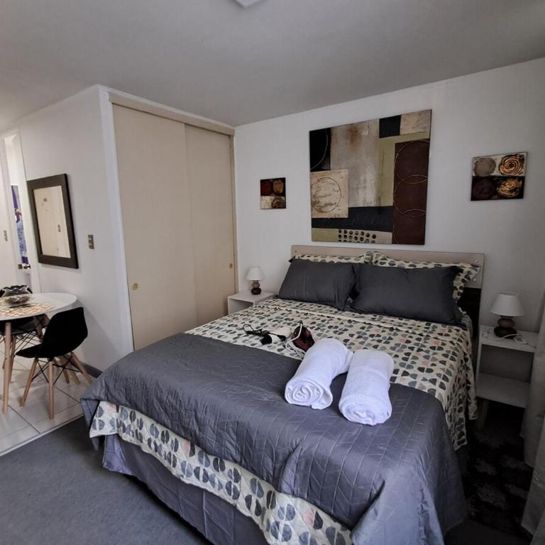 Departamento tipo estudio, cercano al Movistar Arenas y Teatro Caupolican - Apartamento de 1 dormitorio - 1