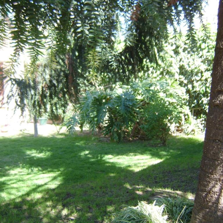 Olegario Apart - Apartamento de 1 dormitorio - 11